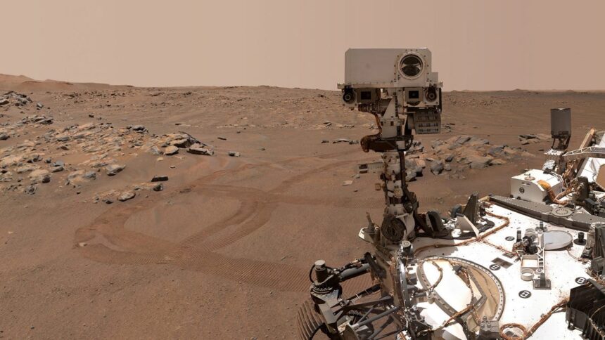 Did NASA Announce Life on Mars With Microbial Life Existing